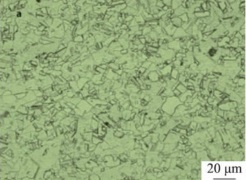 inconel-600-microstructure-after-solution-at-950